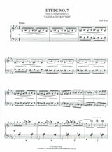 Wild: 7 Virtuoso Etudes based on Gershwin Songs