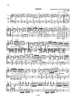 Ernyei: Accordion Music