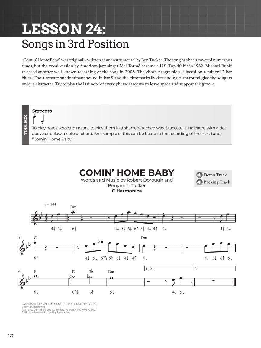 Do-It-Yourself Harmonica