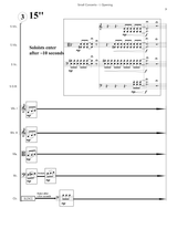 Steinke: Small Concerto