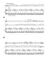 Mazzoli: Magic with Everyday Objects (Version for Flute, Cello, & Piano)