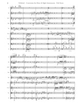 Nelhybel: Horn Concertato