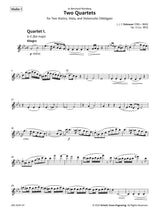 Dotzauer: Two Quartets, Op. 12