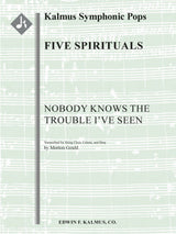 Nobody Knows the Trouble I've Seen (arr. for string choir)