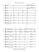 Udow: Baños Arabes de Llíria