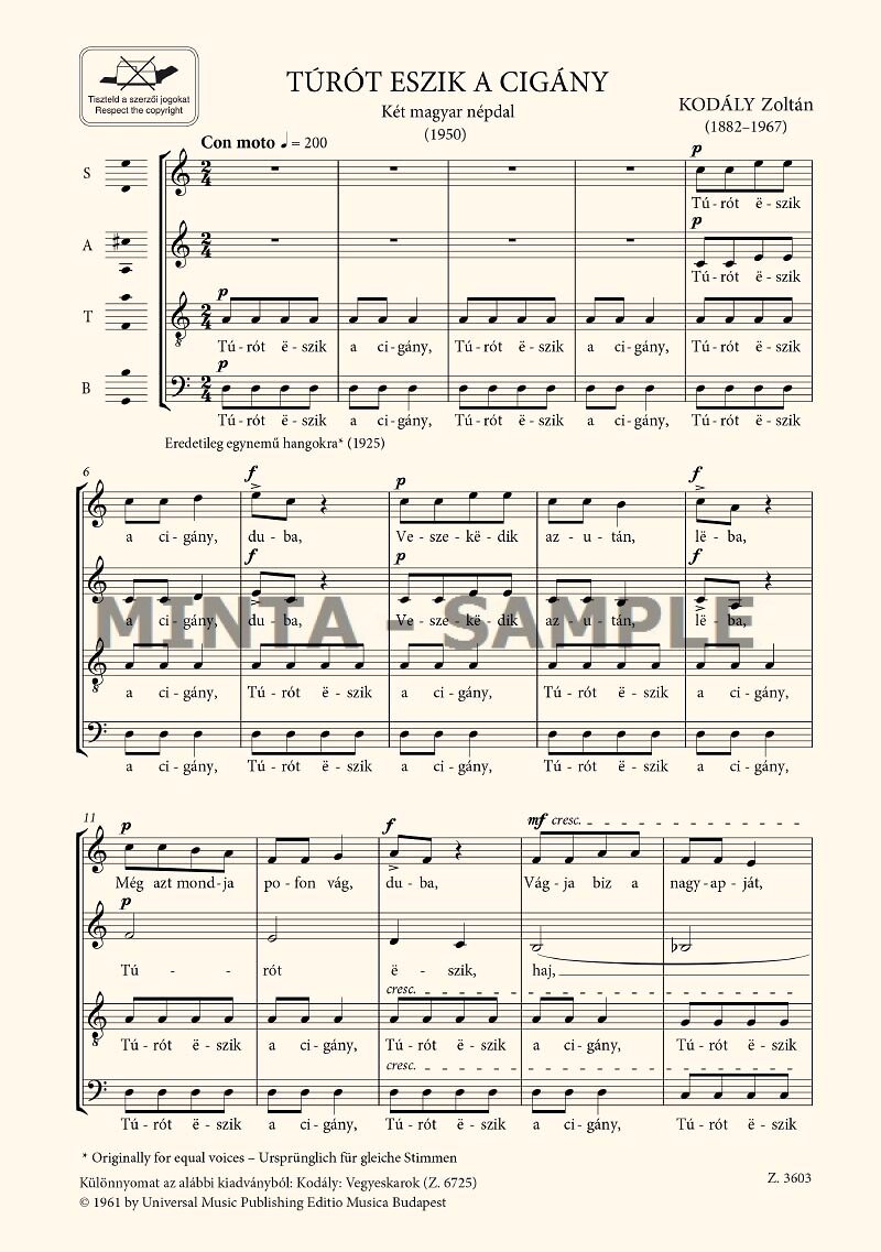 Kodály: See the Gypsy (Turot eszik a cigany)
