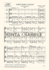 Kodály: See the Gypsy (Turot eszik a cigany)