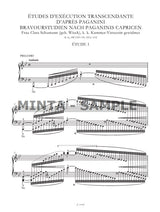 Liszt: Études d'exécution transcendante d'apres Paganini and Other Piano Works