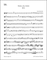 Bach: Komm, Jesu, komm, BWV 229