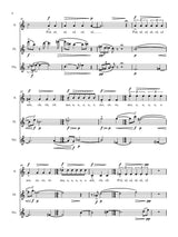 Liptak: Pulse Music