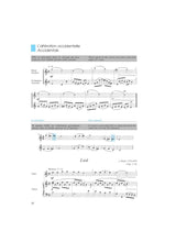 The Flute - Volume 2