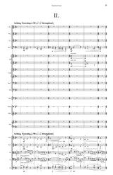 Schubring: Piano Concerto No. 1