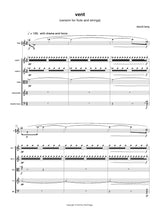 Lang: Vent (Version for Flute & Strings)
