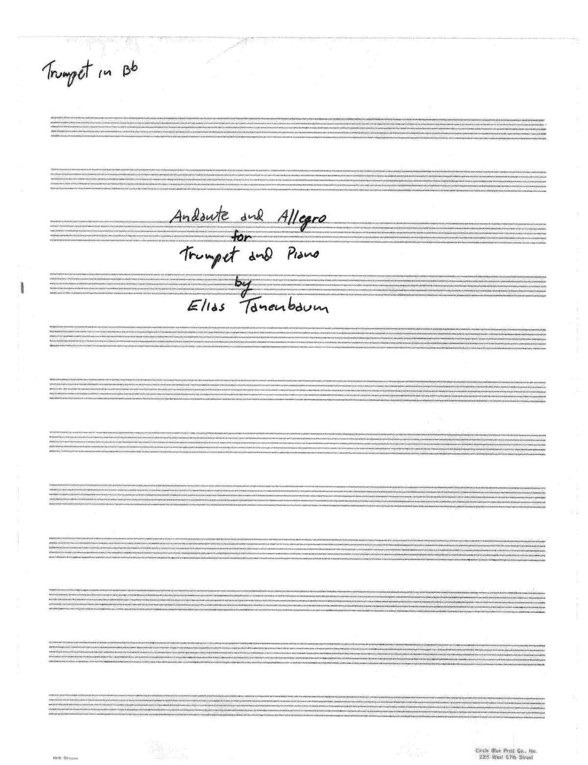 Tanenbaum: Andante & Allegro