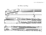 S.C. Kim: 3 Etudes