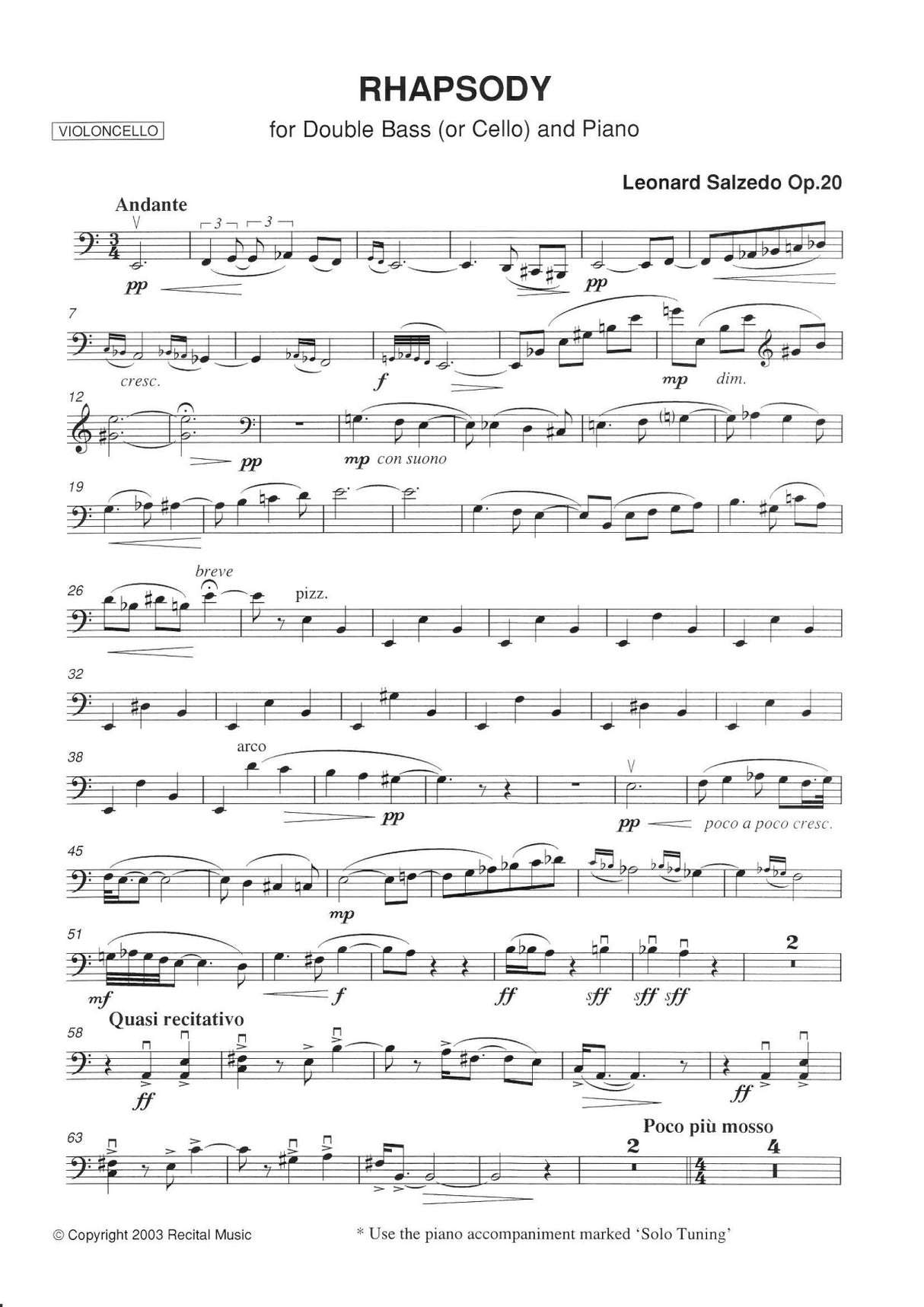 Salzedo: Rhapsody, Op. 20