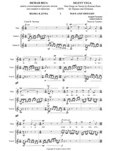 Golovin: Silent Vega