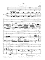 Weber: Trio in G Minor, Op. 63