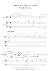 Tan Dun: Double Bass Concerto