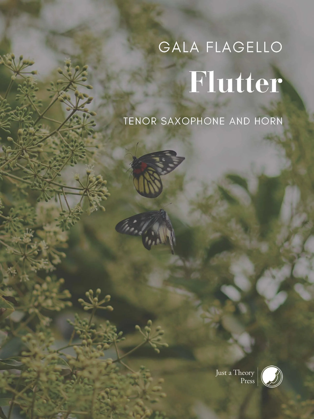 Flagello: Flutter