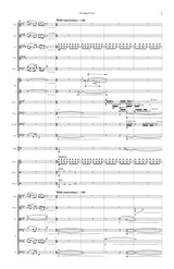 Geter: Suite from Loving v. Virginia