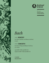Bach: Flute Concerto in E Minor