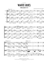 D. Flanagan: Water Lilies