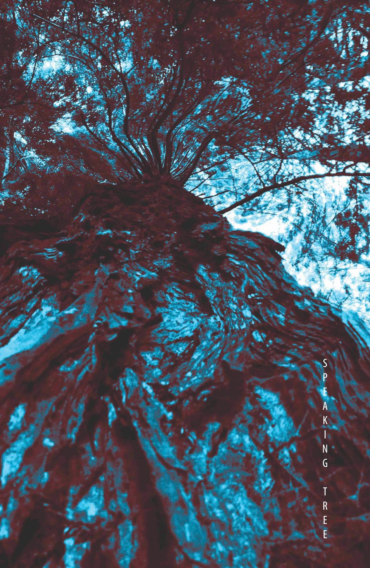 Akiho: Speaking Tree