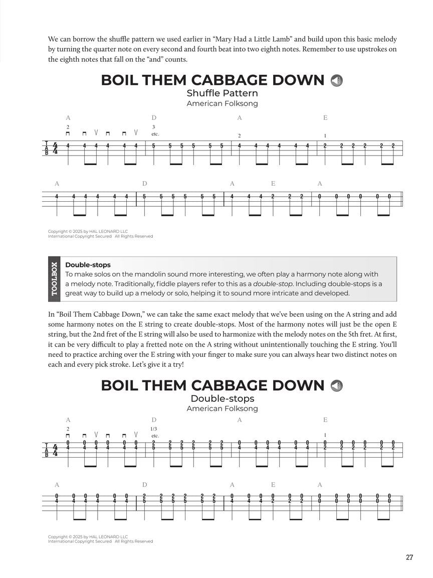 Do-It-Yourself Mandolin