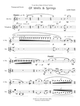 Shatin: Of Wells & Springs