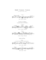 Mozart: Works for Two Pianos