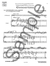 Büsser: Concertino, Op. 80