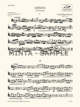 Telemann: Sonata in E Minor (arr. for bassoon & piano)