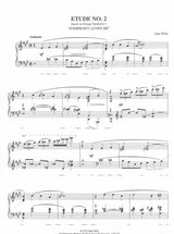 Wild: 7 Virtuoso Etudes based on Gershwin Songs