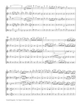 Draganski: Two Rags