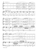 Magalif: Finches