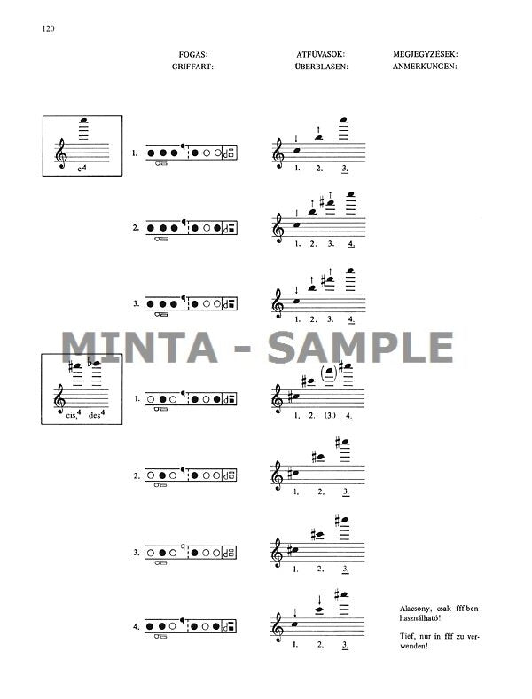 Scale Tutor for Flute Volume 2