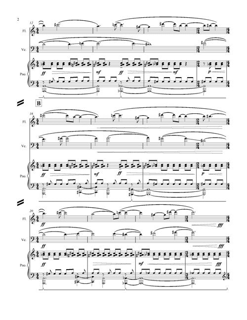 Mazzoli: Magic with Everyday Objects (Version for Flute, Cello, & Piano)