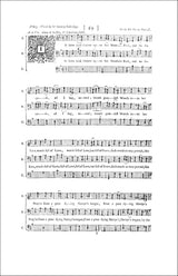 The Theater of Music