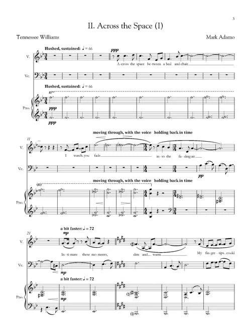 Adamo: The Racer's Widow