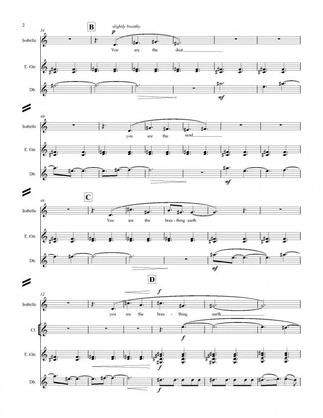 Mazzoli: You Are the Dust (Version for Mezzo & Ensemble)