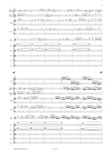 Campo: The Seasons of Life