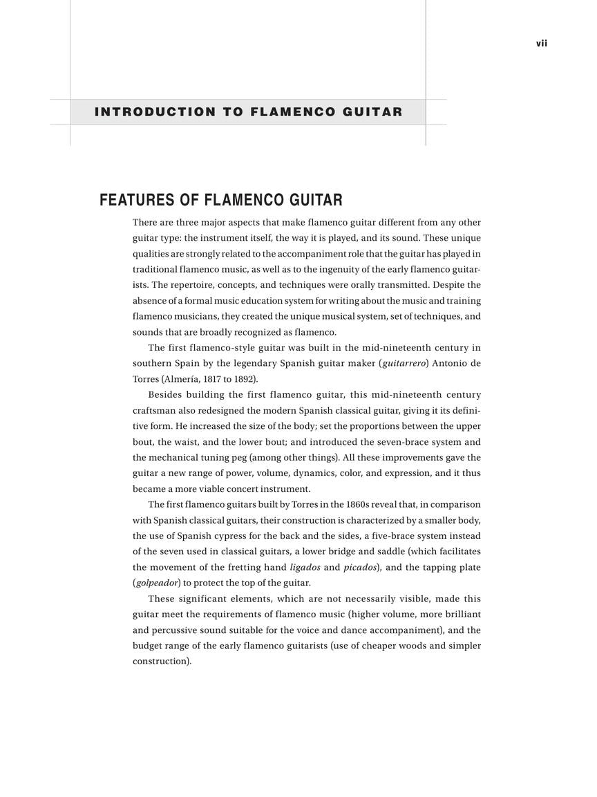 Flamenco Guitar
