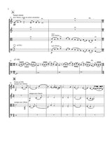 Wilson: Time Variations