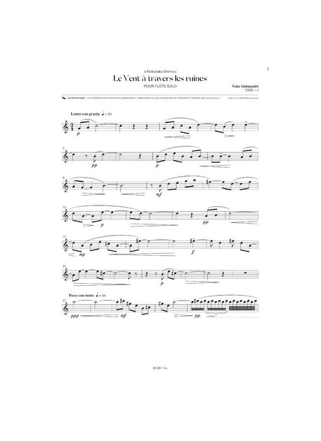 Uebayashi: Vent à travers les ruines