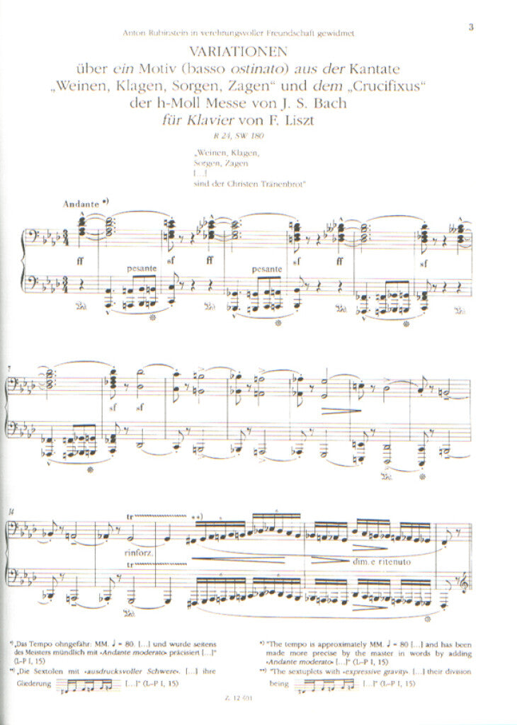 Liszt: Free Arrangements and Transcriptions - Volume 12