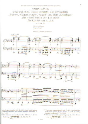 Liszt: Free Arrangements and Transcriptions - Volume 12