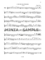 Bali: A Baroque Ornamentation Tutor for Recorder