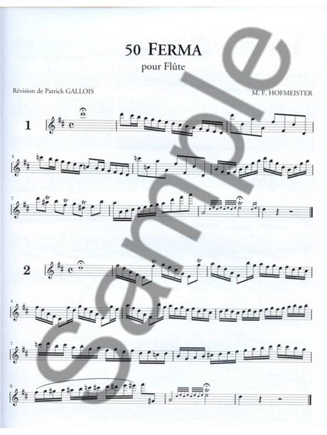 Hoffmeister: 50 Ferma