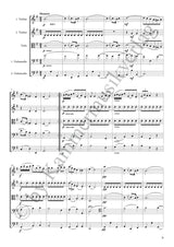 Boccherini: String Quintet in C Major, G 378